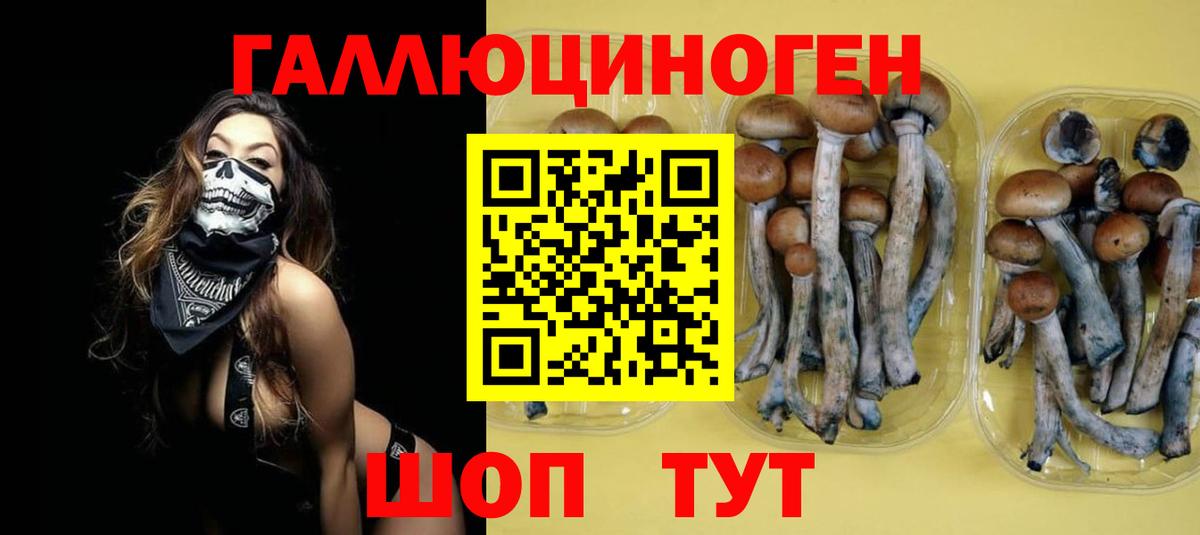 Псилоцибиновые грибы MAGIC MUSHROOMS  Псилоцибиновые грибы Magic Shrooms  Дедовск  Вход с VPN 